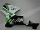 Abs Kit Completos Carenagem Moto CBR 600RR 05-06 - Verde Abs Kit Completos Carenagem Moto CBR 600RR 05-06 - Verde