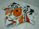 Carenagem Moto CBR 1000RR 04-05 - Laranja Branco Repsol