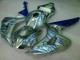 Carenagem Moto CBR 1000RR 06-07 - Azul Chama Prata Carenagem Moto CBR 1000RR 06-07 - Azul Chama Prata