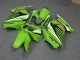 Carenagem Moto EX250 08-12 - Verde Branco Preto Ninja Carenagem Moto EX250 08-12 - Verde Branco Preto Ninja