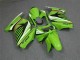 Carenagem Moto EX250 08-12 - Verde Branco Preto Ninja Carenagem Moto EX250 08-12 - Verde Branco Preto Ninja
