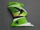 Carenagem Moto EX250 08-12 - Verde Branco Preto Ninja Carenagem Moto EX250 08-12 - Verde Branco Preto Ninja