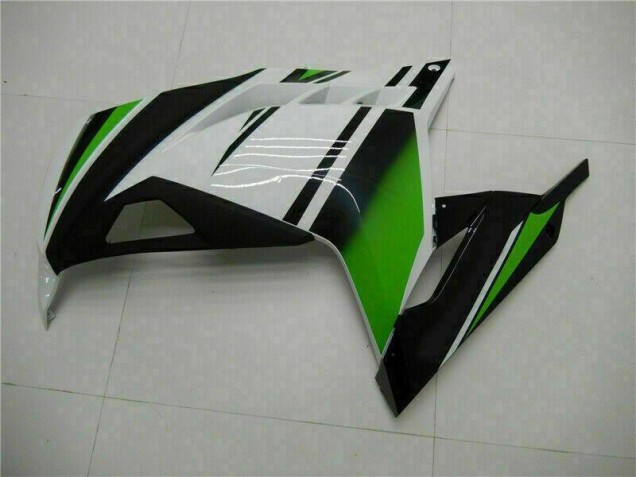 Carenagem Moto EX300 13-16 - Verde Preto Prata Carenagem Moto EX300 13-16 - Verde Preto Prata