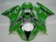 Carenagem Moto ZX6R 09-12 - Verde Preto LeoVince Carenagem Moto ZX6R 09-12 - Verde Preto LeoVince