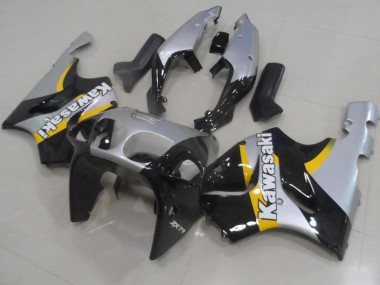 Carenagem Moto ZX9R 00-01 - Prata & Preto