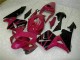 Injeção Kit Carenagem CBR 600RR 03-04 - Roxo