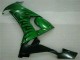 Carenagens Moto Kawasaki ZX10R 2008-2010 - Preto Brilhante Verde Chama