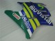 Carenagens Moto Honda CBR600 F3 1995-1996 - Azul Verde Amarelo MoviStar Vermelho Castrol
