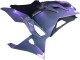 Carenagens Moto Kawasaki Ninja 500 EX500R 2024-2025 - Camaleão Cinzento Dazz Roxo Pérola