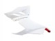 Carenagens Moto Ducati Panigale V2 2020-2024 - Branco Vermelho Preto Fosco