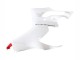Carenagens Moto Ducati Panigale V2 2020-2024 - Branco Vermelho Preto Fosco