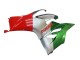 Carenagens Moto Ducati Panigale V2 2020-2024 - Prata Vermelho Verde