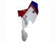 Carenagens ABS BMW K1200S 2005-2010 - Branco Vermelho Azul