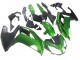 Carenagens Moto BMW K1200S 2005-2010 - Verde Preto Fosco