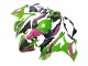 Carenagens Moto BMW S1000RR 2023-2024 - Rosa Verde Preto