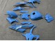 Carenagens Moto BMW S1000RR 2023-2024 - Azul Brilhante