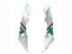 Carenagens Moto BMW S1000RR 2017-2018 - Branco Verde