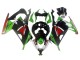 Carenagens Moto Kawasaki EX300 2013-2017 - Verde Branco Vermelho Preto Elf