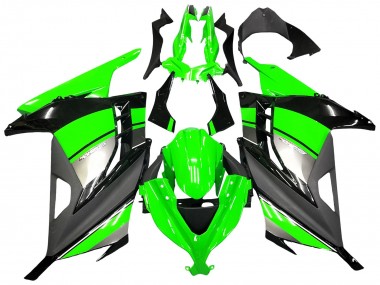 Carenagens Moto Kawasaki EX300 2013-2024 - Verde Prata Preto