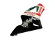 Carenagens Moto Honda CBR900RR 954 2002-2003 - Branco Vermelho Verde Preto Brilhante Castrol