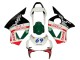 Carenagens Moto Honda CBR900RR 954 2002-2003 - Branco Vermelho Verde Preto Brilhante Castrol