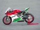 Carenagens Moto Ducati 1299 2015-2020 - Branco Vermelho Verde Preto Fosco
