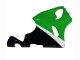 Carenagens Moto Kawasaki ZX7R 1996-2003 - Branco Verde Preto