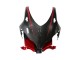 Carenagens Moto Honda CBR1000RR 2008-2011 - Preto Fibra de Carbono Vermelho
