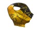 Carenagens Moto Honda CBR600RR 2009-2012 - Ouro Preto Brilhante
