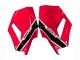 Carenagens Moto Honda CBR600RR 2013-2026 - Vermelho Branco Preto