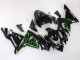Carenagens Moto Kawasaki ZX10R 2004-2005 - Preto Verde Chama Ninja