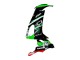 Carenagens Moto Kawasaki ZX10R 2008-2010 - Verde Branco Vermelho Preto Monstro Elf 66