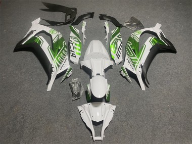 Carenagens Moto Kawasaki ZX10R 2011-2015 - Branco Verde Preto Fosco