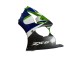 Carenagens Moto Kawasaki ZX6R 1998-1999 - Verde Branco Azul Prata Preto Brilhante