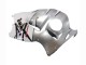 Carenagens Moto Suzuki GSXR 1300 Hayabusa 1996-2007 - Branco Prata Hayabusa