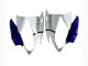 Carenagens Moto Yamaha YZF 600 R6 2006-2007 - Branco Azul Jordan