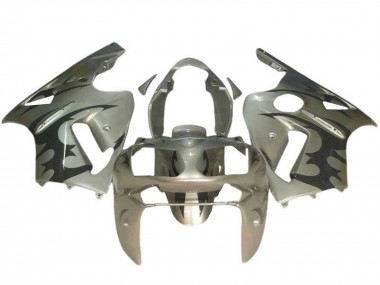 Carenagens Moto Kawasaki ZX12R 2002-2006 - Prata Preto