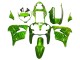 Carenagens Moto Kawasaki ZX9R 2000-2001 - Verde Chama