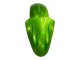 Carenagens Moto Kawasaki ZX9R 2000-2001 - Verde Chama