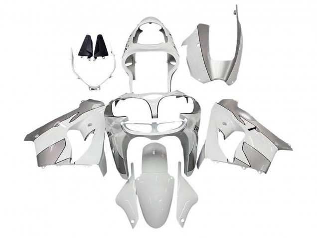 Carenagens Moto Kawasaki ZX9R 2002-2003 - Branco Prata