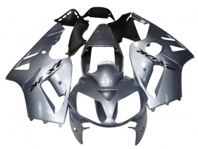Carenagens Moto Kawasaki ZX12R 2000-2001 - Prata