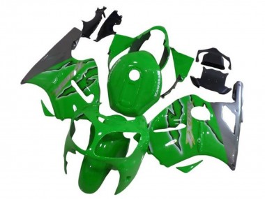 Carenagens Moto Kawasaki ZX12R 2002-2006 - Verde Prata